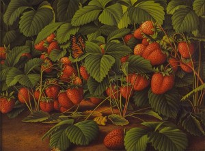 Levi-Wells-Prentice-xx-Bed-of-Strawberries-with-Monarch-Butterfly-xx-Private-collection