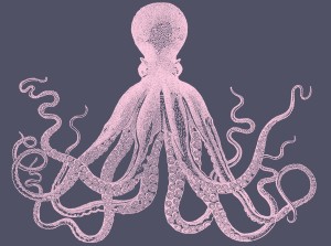 octopus duotone