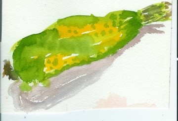 medium_speckled_zucchini