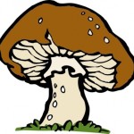 big-mushroom-clip-art