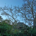 DSCN4496