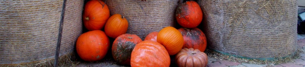 20151005_0088.jpg_c+l