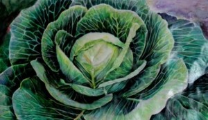 august_18_original_mixed_media_watercolor_color_paper_cabbage_897a2d311b7700fbca0a3e4f1ba8bfa8