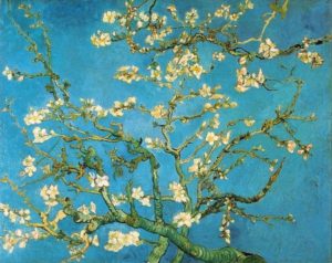 Almond tree